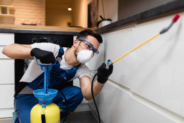 Best Best Pest Control Companies  in Richwood, NJ