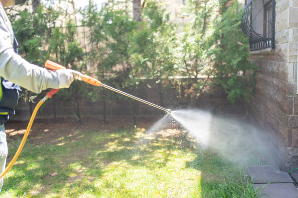 Best Flea Control Services  in Richwood, NJ