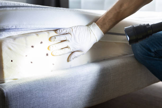 Best Pest Removal Services  in Richwood, NJ