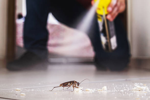 Best Residential Pest Control  in Richwood, NJ