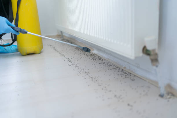 Best Mosquito Control Services  in Richwood, NJ