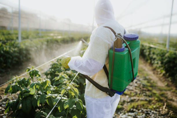 Best Affordable Pest Control Services  in Richwood, NJ